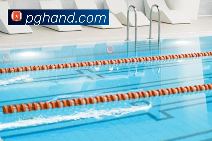 pg电子平台生态图